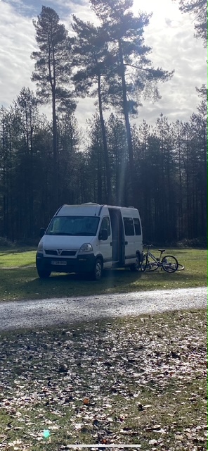 Nessie in the forests of Cannock Chase
